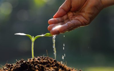 How to Give Charity That Never Ends (Sadaqah Jariyah)